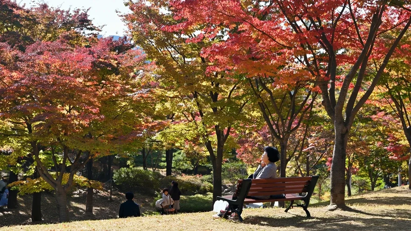 1. 한눈에 보는 두 갈래